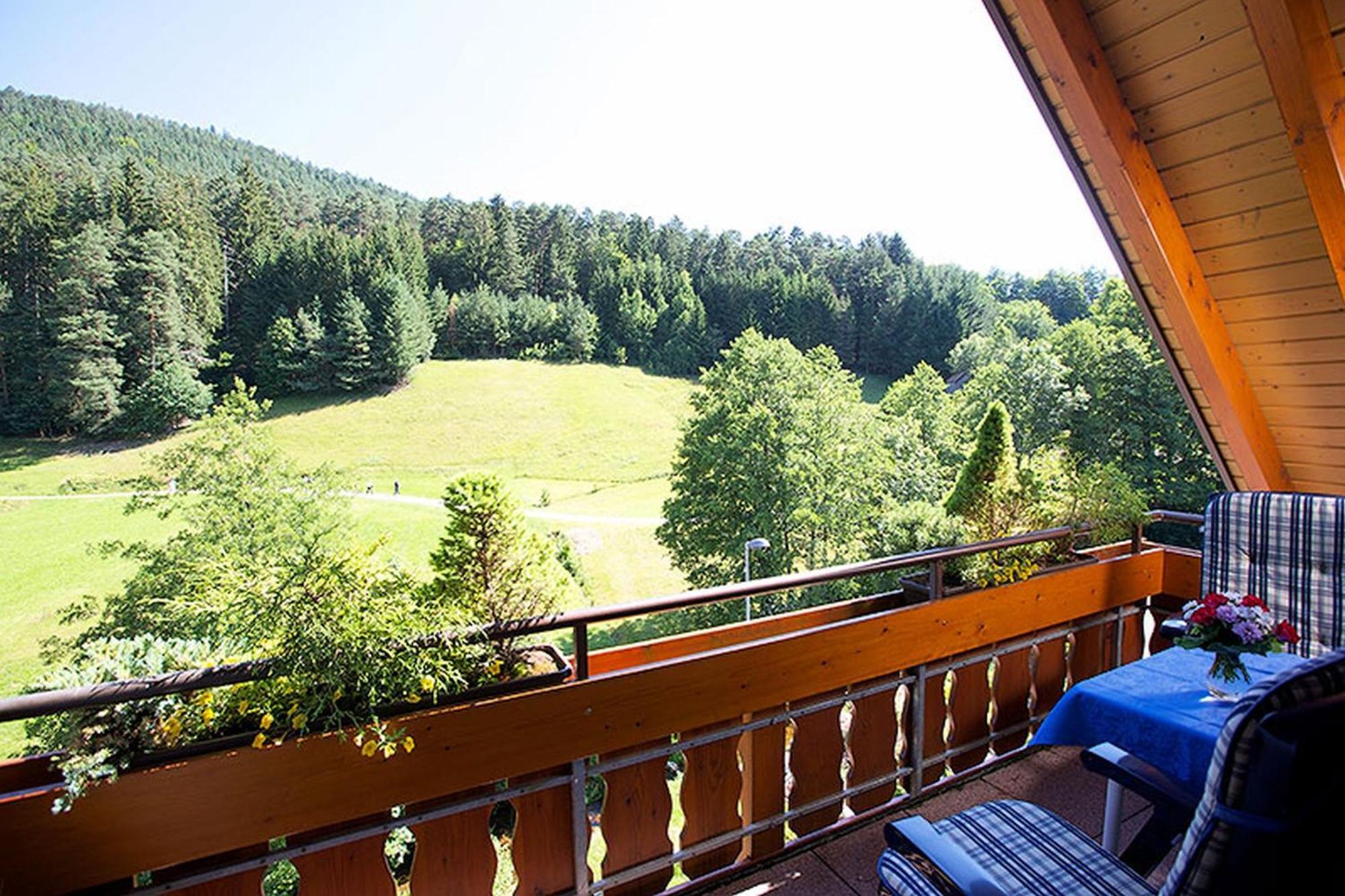 Landhaus Muehlengrund Lägenhet Baiersbronn Exteriör bild