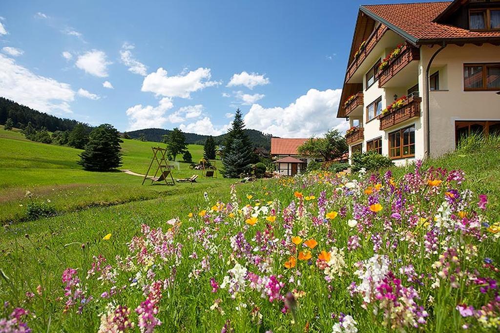 Landhaus Muehlengrund Lägenhet Baiersbronn Exteriör bild